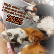 Vnoce 2024