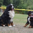 Berenika Bella Gaia s ta�kou Harrym - Pecka l�to 2015